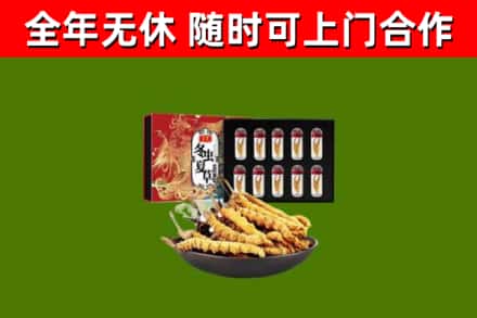 白云回收冬虫夏草价格
