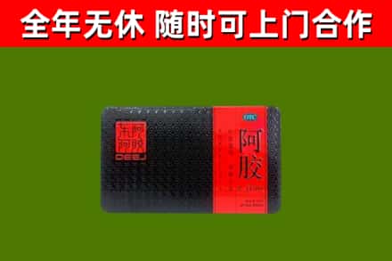 白云回收阿胶